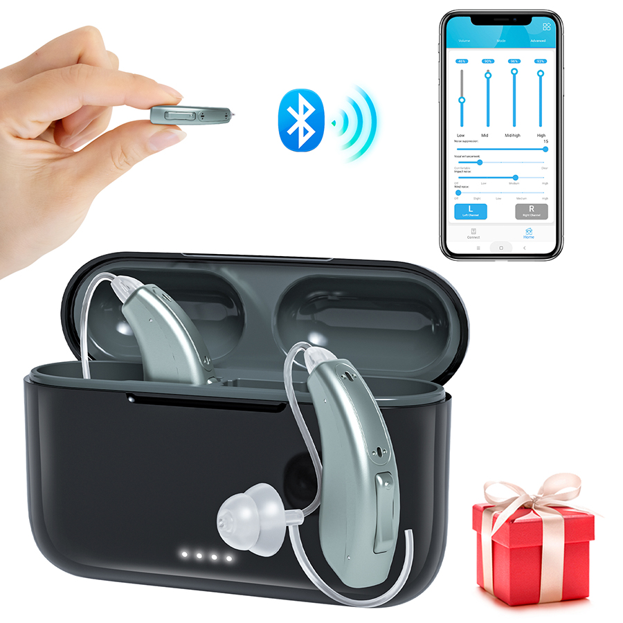 Hearing aid-5116B